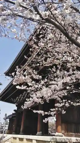 くろ谷 金戒光明寺の山門