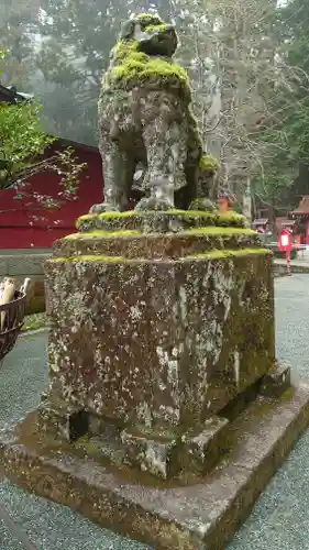 箱根神社の狛犬