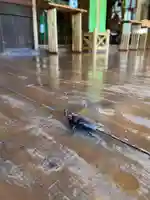 手力雄神社(岐阜県)