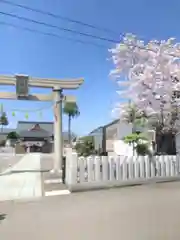 總社 和田八幡宮(福井県)