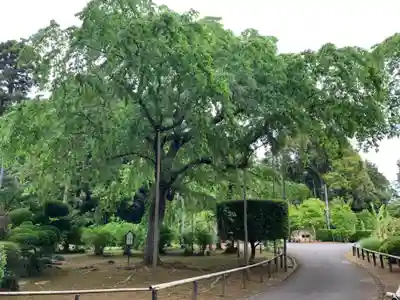 長光寺(千葉県)