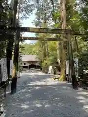 椿大神社の鳥居