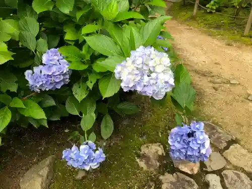 金剛輪寺(滋賀県)