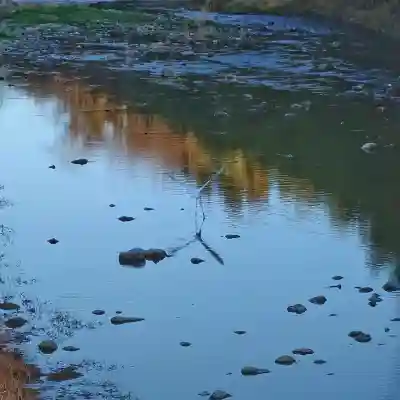 班渓寺の{uncategorized: "未分類", other: "その他", undefined: "問題あり", building: "その他建物", grave: "お墓", sacred_gate: "鳥居", guardian: "狛犬", statue: "像", buddha: "仏像", history: "歴史", nature: "自然", garden: "庭園", animal: "動物", pagoda: "塔", temizu: "手水舎", mountain_gate: "山門・神門", sanctuary: "本殿・本堂", subordinate: "末社・摂社", art: "芸術", scenery: "景色", jizo: "地蔵", ema: "絵馬", goshuin: "御朱印", omikuji: "おみくじ", items: "授与品その他", amulet: "お守り", goshuincho: "御朱印帳", eats: "食事", festival: "お祭り", votive_dance: "神楽", shichigosan: "七五三参", wedding: "結婚式", experience: "体験その他", initially: "初詣", around: "周辺", anti_infection: "感染症対策"}