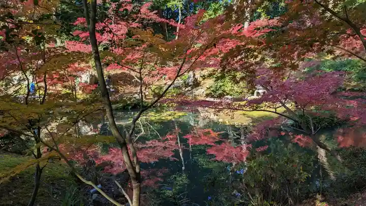 くろ谷 金戒光明寺(京都府)