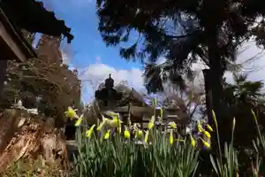 日吉二宮神社の自然(2024年03月20日(水) 17時03分30秒投稿)
