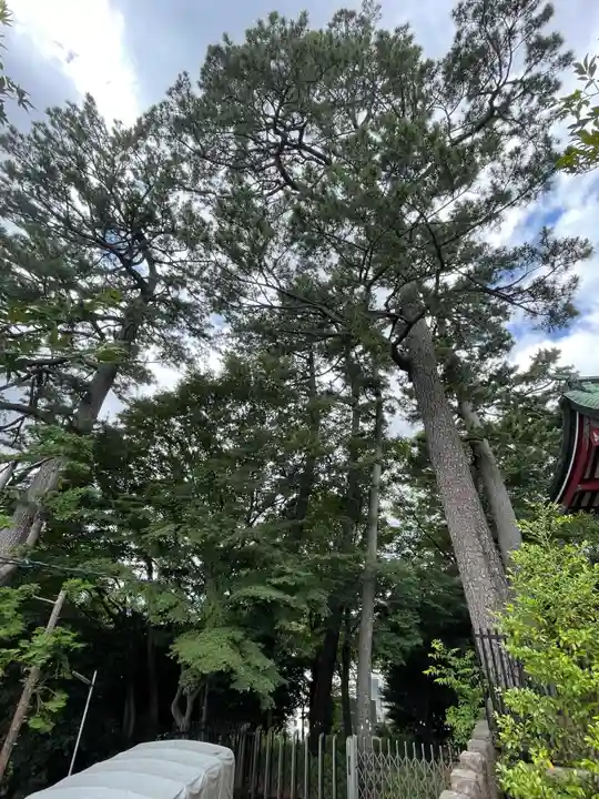 瀬田玉川神社の自然