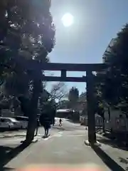 東郷神社の鳥居