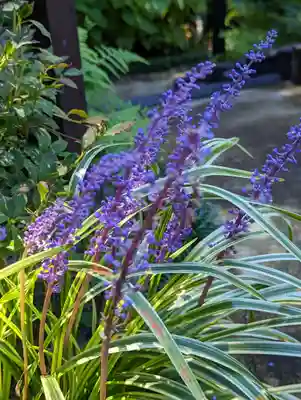 一條殿 新善光寺(京都府)