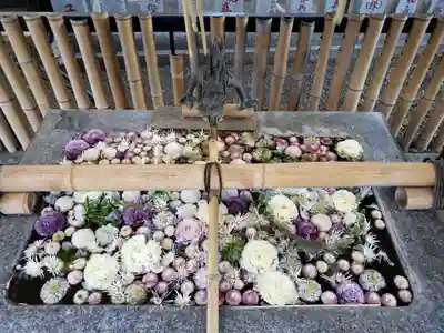 高円寺氷川神社の手水舎