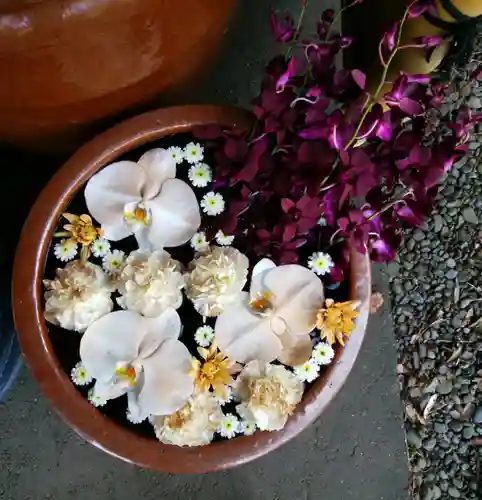 多賀神社の手水舎