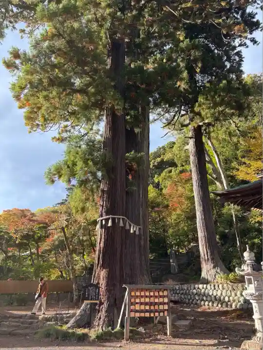 日枝神社(静岡県)