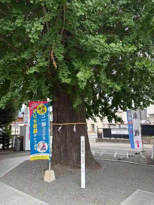 伊勢原大神宮(神奈川県)