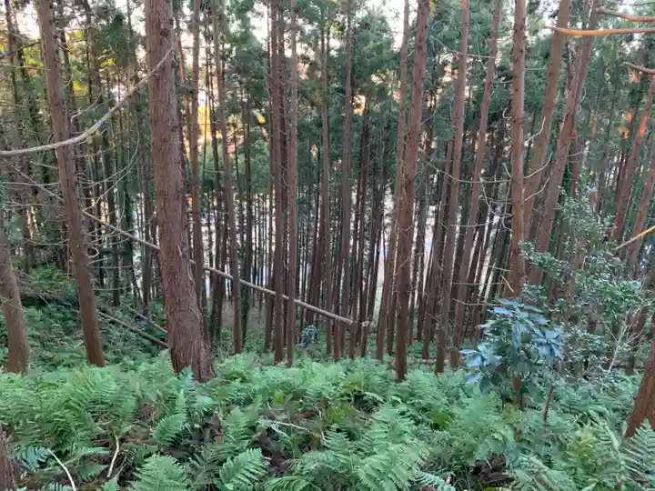 浅間神社の自然
