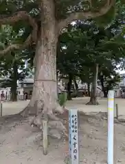 許麻神社(大阪府)