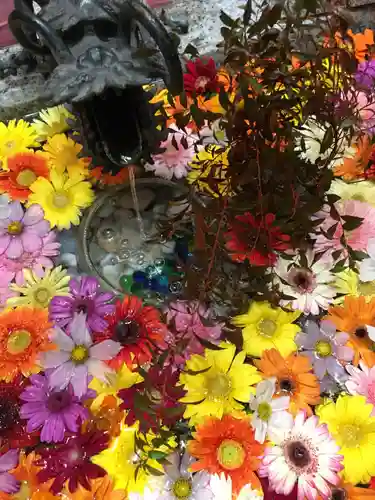 札幌諏訪神社の手水舎