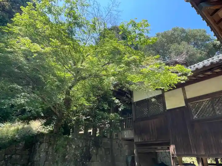 久山年神社の{uncategorized: "未分類", other: "その他", undefined: "問題あり", building: "その他建物", grave: "お墓", sacred_gate: "鳥居", guardian: "狛犬", statue: "像", buddha: "仏像", history: "歴史", nature: "自然", garden: "庭園", animal: "動物", pagoda: "塔", temizu: "手水舎", mountain_gate: "山門・神門", sanctuary: "本殿・本堂", subordinate: "末社・摂社", art: "芸術", scenery: "景色", jizo: "地蔵", ema: "絵馬", goshuin: "御朱印", omikuji: "おみくじ", items: "授与品その他", amulet: "お守り", goshuincho: "御朱印帳", eats: "食事", festival: "お祭り", votive_dance: "神楽", shichigosan: "七五三参", wedding: "結婚式", experience: "体験その他", initially: "初詣", around: "周辺", anti_infection: "感染症対策"}