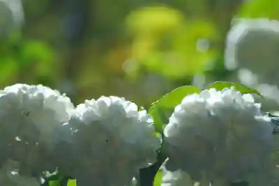 詩仙堂(丈山寺)(京都府)