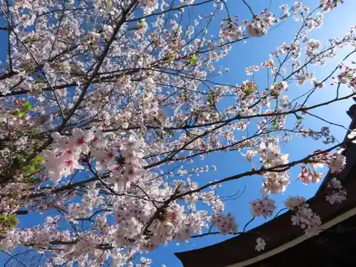 三輪神社の自然