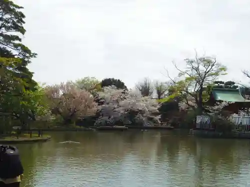 鶴岡八幡宮の庭園