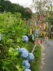 大聖寺の自然