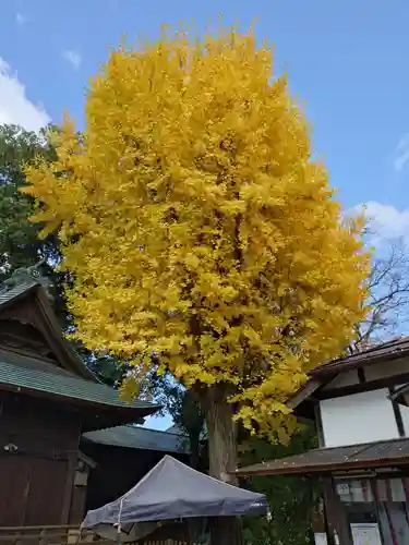 阿邪訶根神社(福島県)