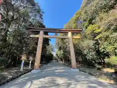 橿原神宮の鳥居