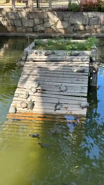四天王寺(大阪府)