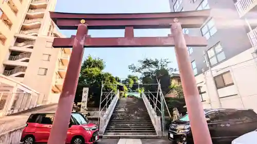 白金氷川神社の鳥居