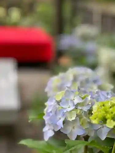 宝登山神社(埼玉県)