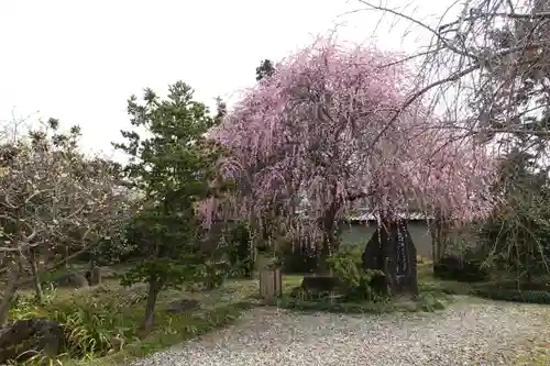 法華寺の庭園