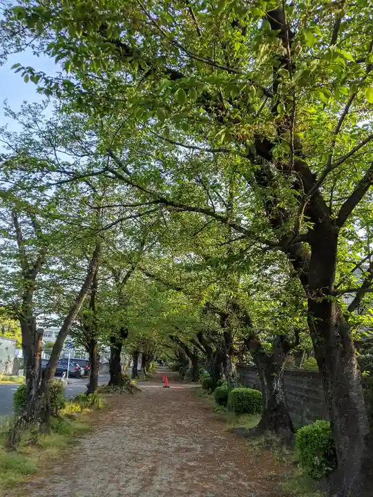 伊多波刀神社(愛知県)