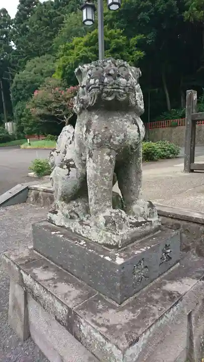 志波彦神社・鹽竈神社の狛犬