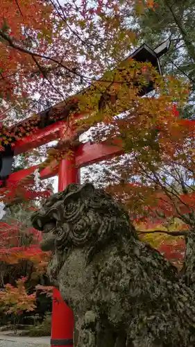 鍬山神社(京都府)