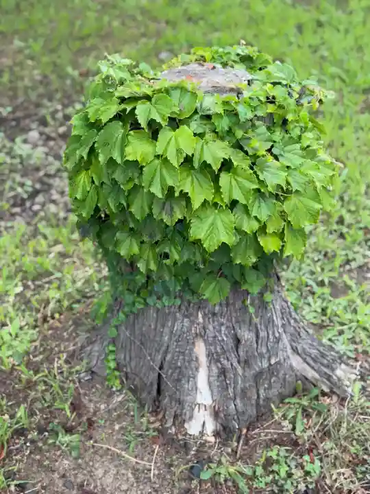 弘前八幡宮(青森県)