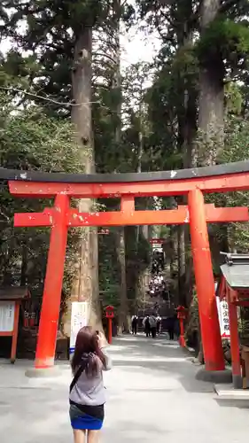 箱根神社の鳥居