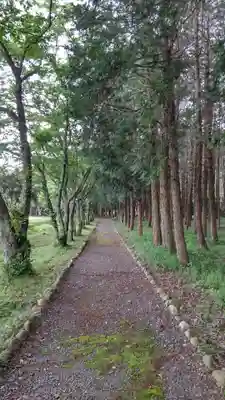 賀茂神社の周辺