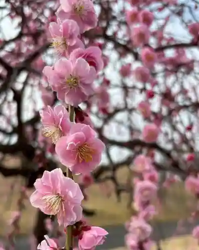 神前神社(岡山県)