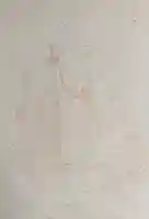 正圓寺の体験その他