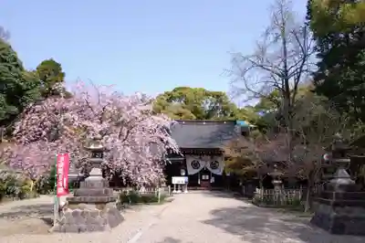 富部神社(愛知県)