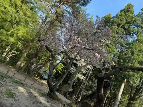 磐椅神社(福島県)