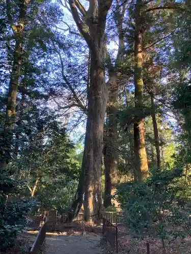 宮原八幡宮(栃木県)