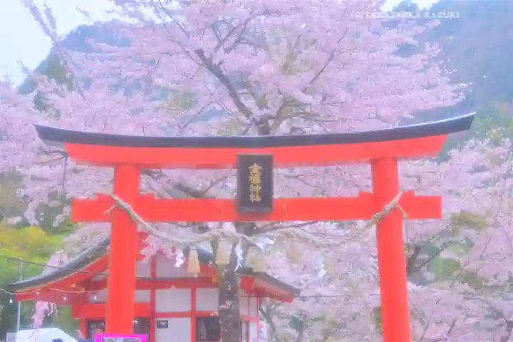 金櫻神社(山梨県)