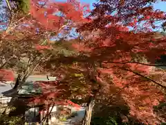 普門寺(切り絵御朱印発祥の寺)の自然