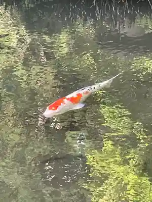 松尾寺(京都府)