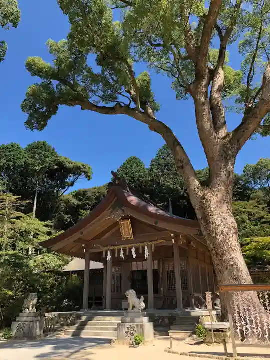 宝満宮竈門神社の本殿・本堂