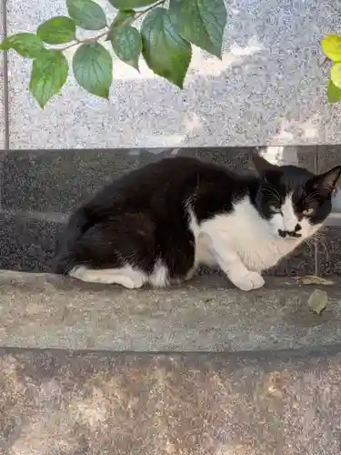 白金氷川神社(東京都)
