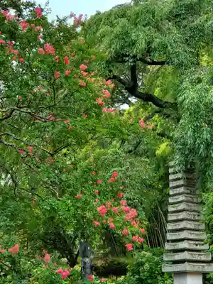 上合寺(福島県)