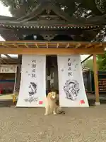 大前神社の動物