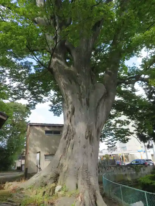 山王日枝神社(山形県)